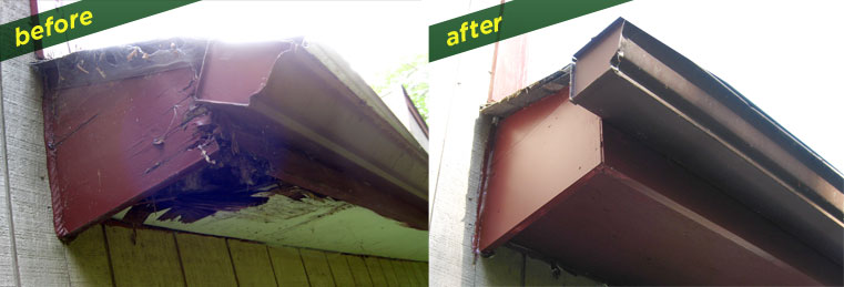 gutter and sophet repair